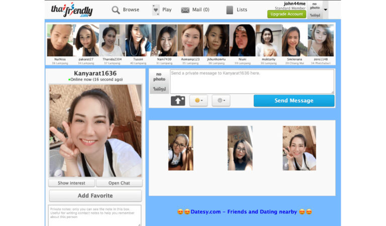 ThaiFriendly Review: Does It Deliver What It Promises?