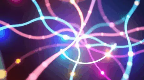 How much is adult friend finder per month?